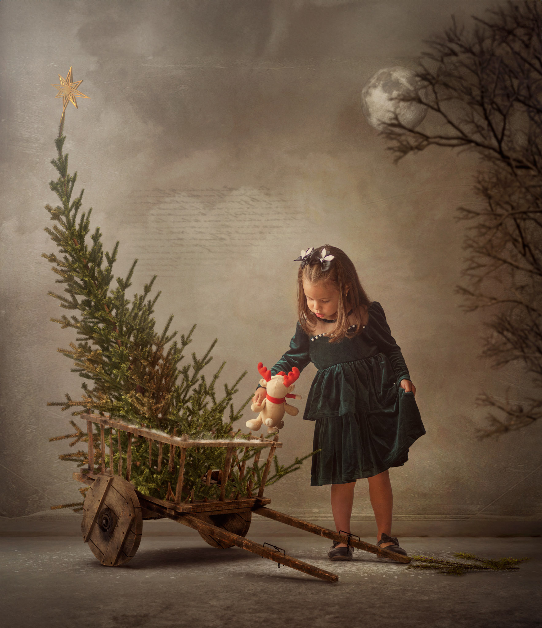 Sesiones Navidad A Martin Fotografos (26)