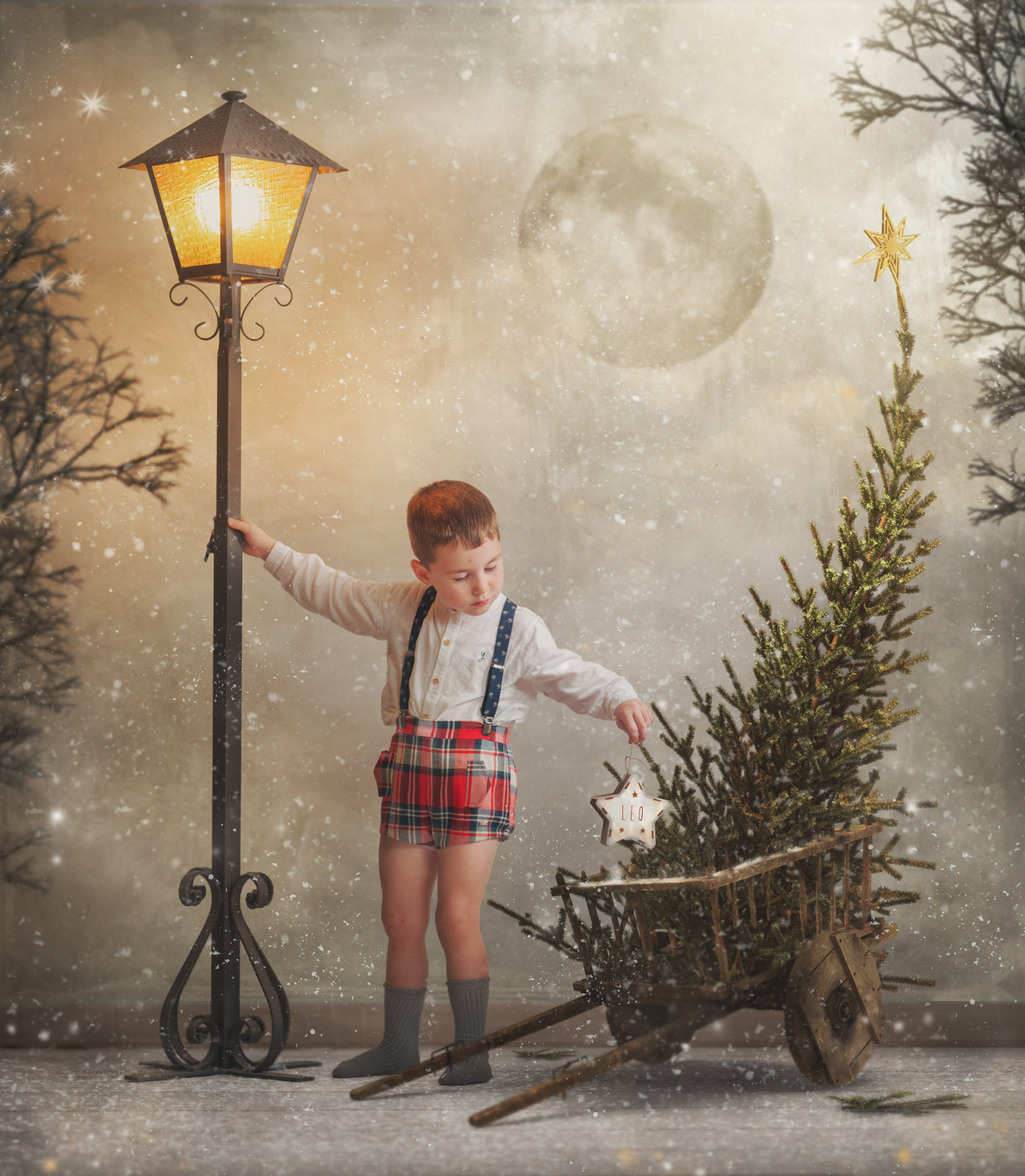 Sesiones Navidad A Martin Fotografos (5)